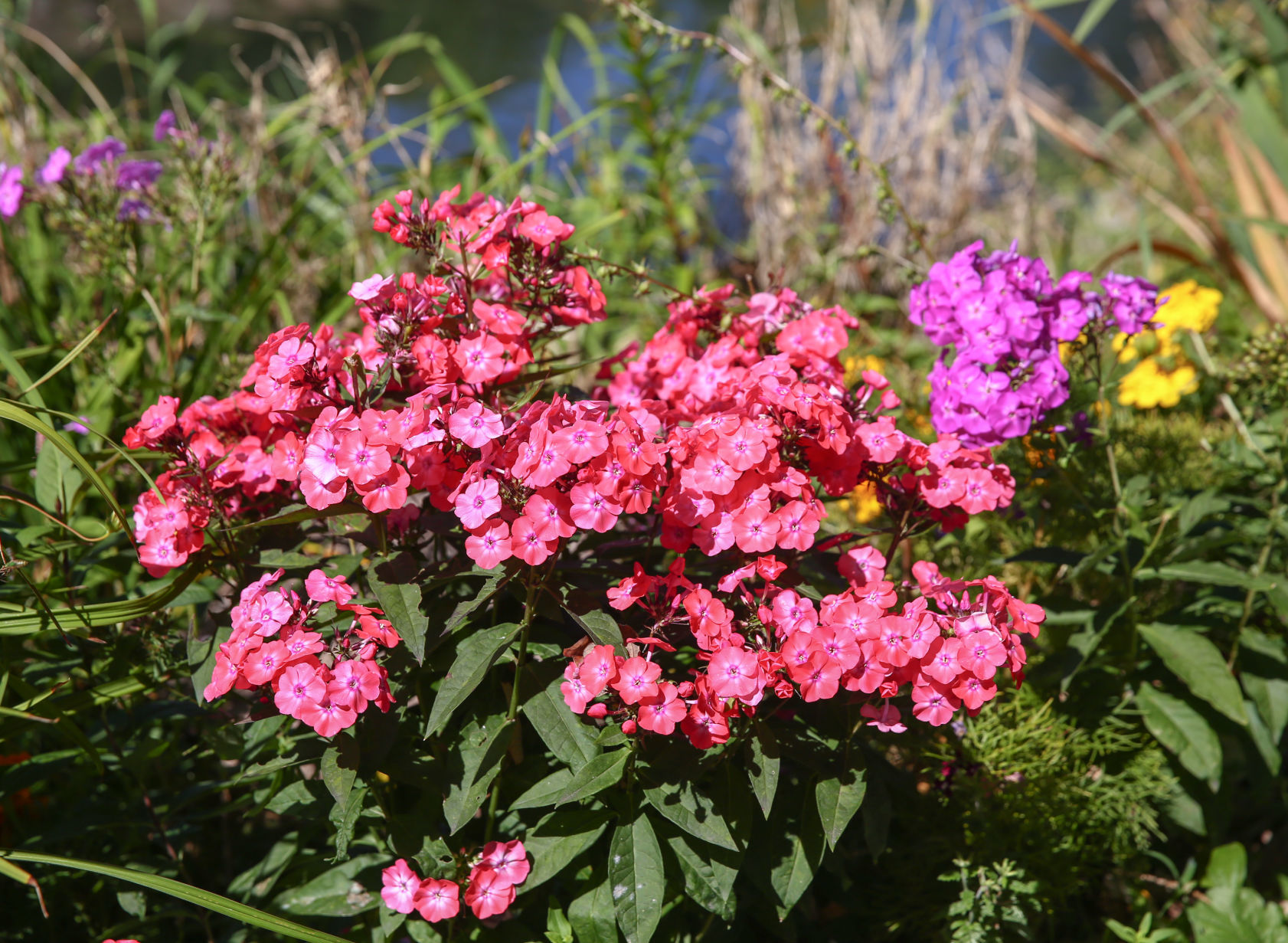 East Park Gardens (9).jpg